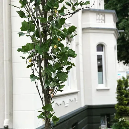 Vecchia * Wuppertal